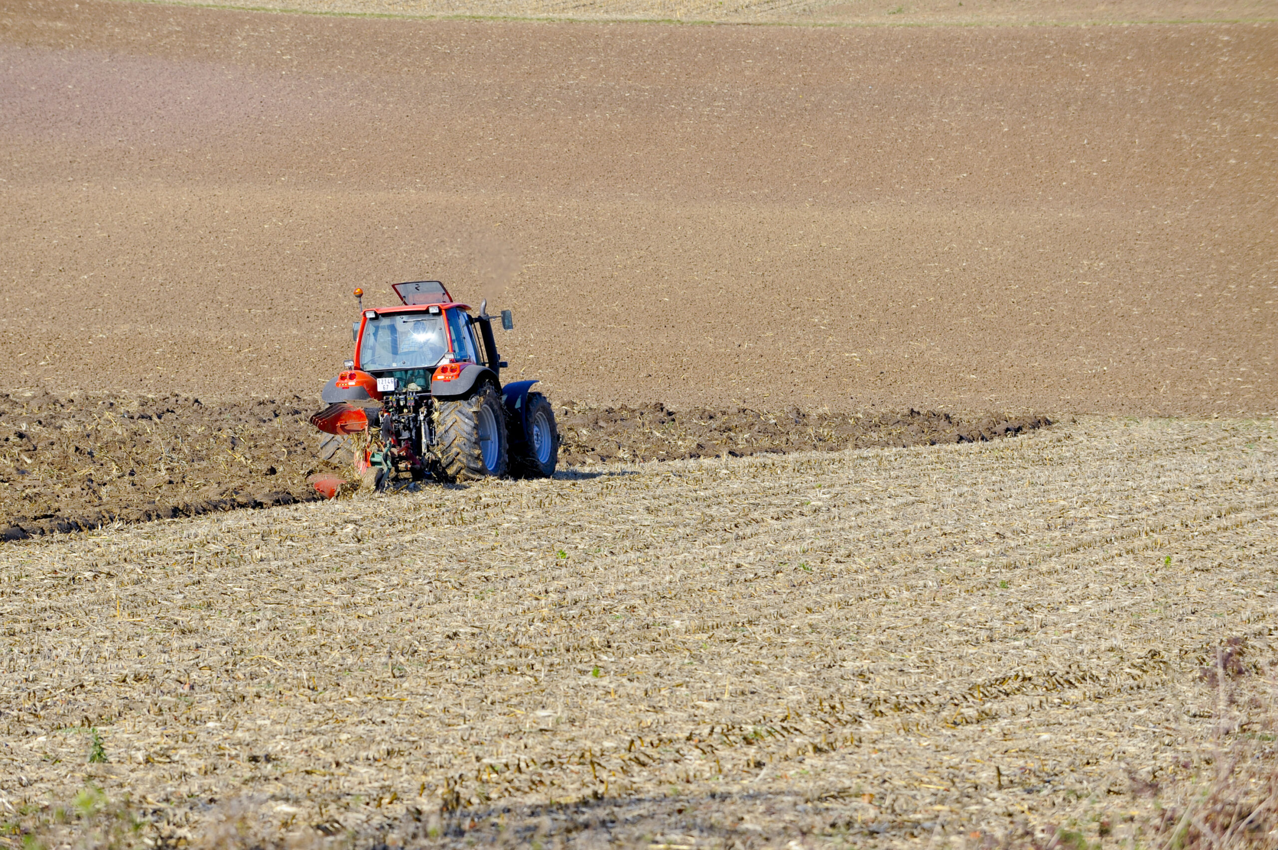 1657918536707 20111026 organic farming 022