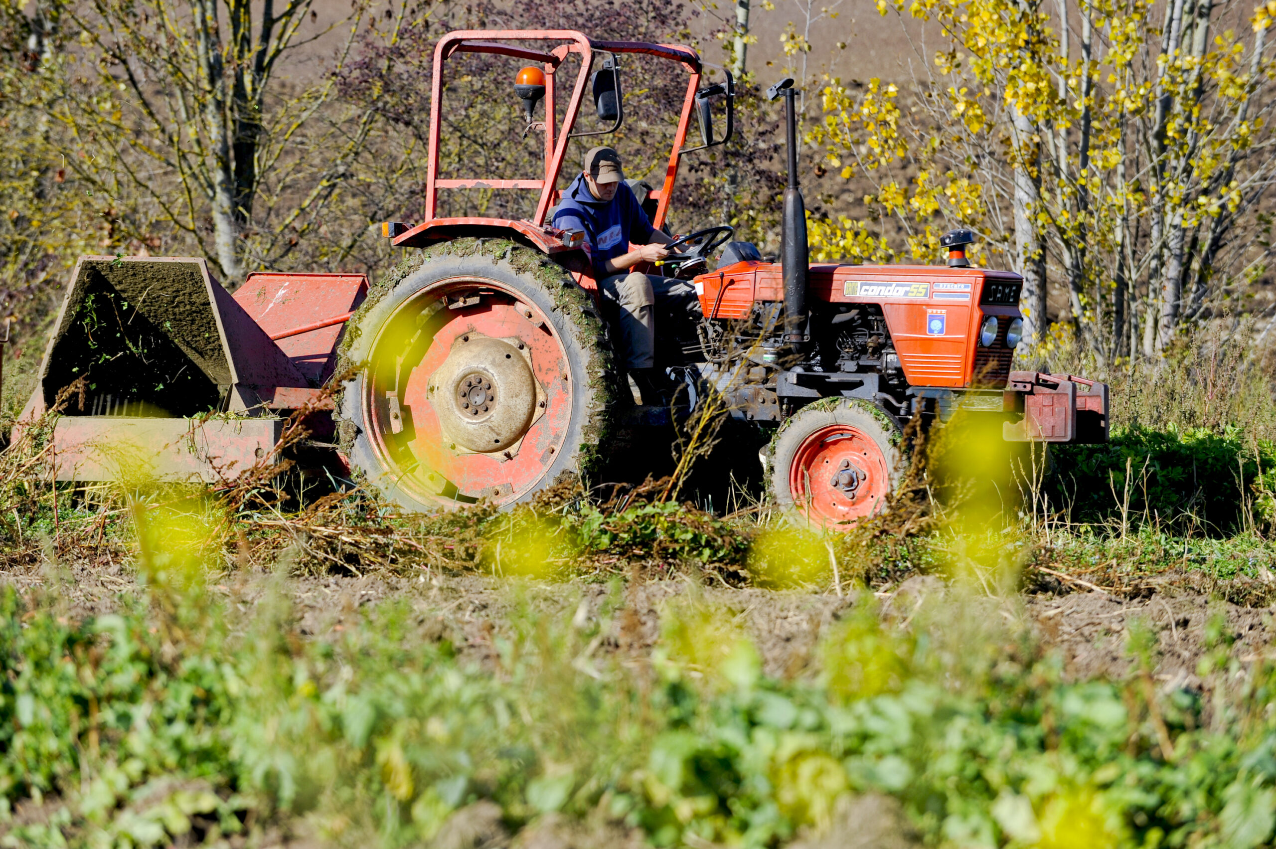 1658035651855 20111026 organic farming 007