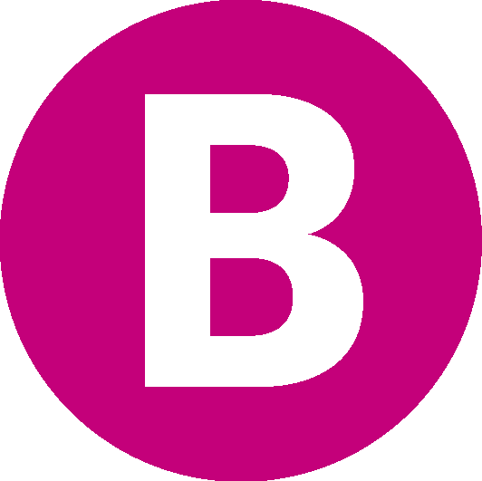 rv-b-logo_magenta