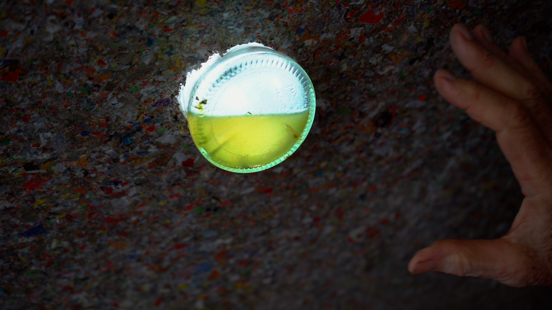 Trash0 6